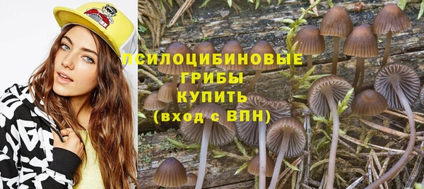 ПСИЛОЦИБИНОВЫЕ ГРИБЫ Абаза