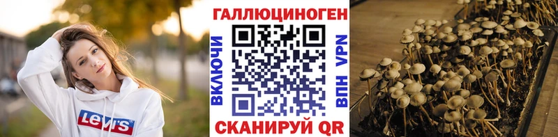 это клад  Сольцы  Псилоцибиновые грибы Magic Shrooms 